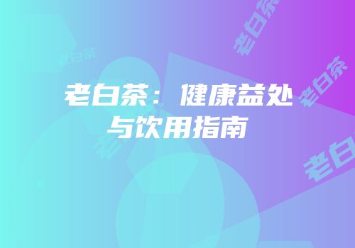 老白茶：健康益处与饮用指南