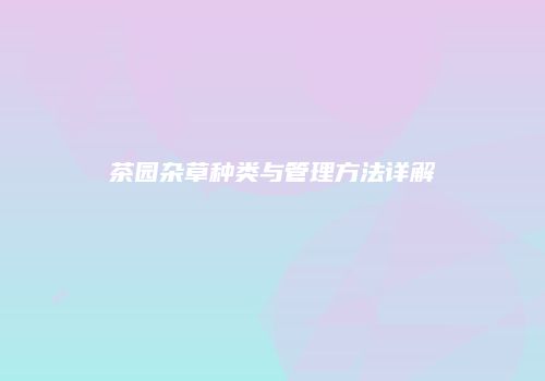 茶园杂草种类与管理方法详解