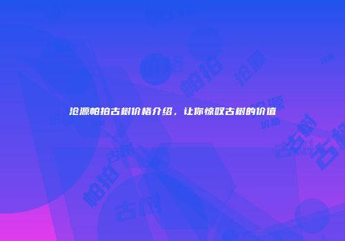 沧源帕拍古树价格介绍，让你惊叹古树的价值