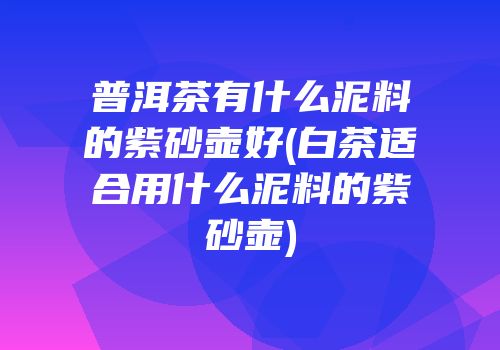 普洱茶有什么泥料的紫砂壶好(白茶适合用什么泥料的紫砂壶)