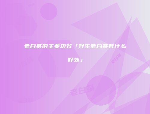 老白茶的主要功效「野生老白茶有什么好处」