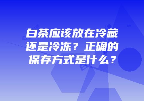 白茶应该放在冷藏还是冷冻？正确的保存方式是什么？