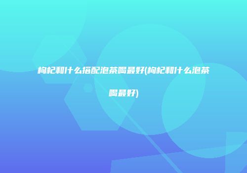 枸杞和什么搭配泡茶喝最好(枸杞和什么泡茶喝最好)