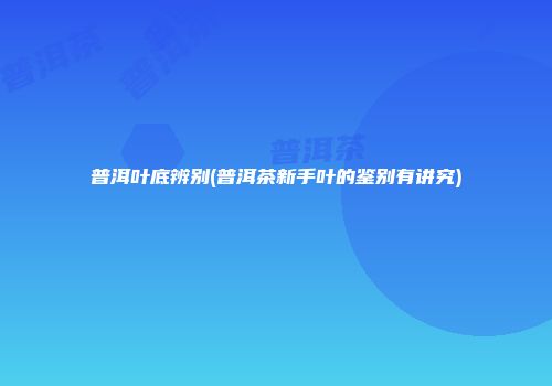 普洱叶底辨别(普洱茶新手叶的鉴别有讲究)