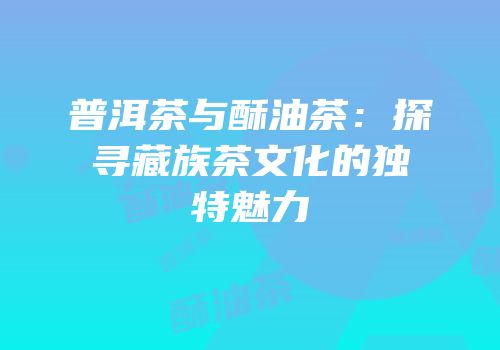 普洱茶与酥油茶：探寻藏族茶文化的独特魅力