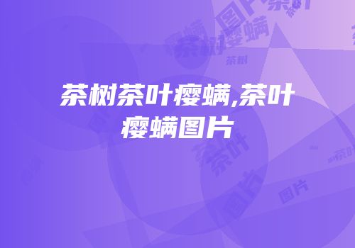 茶树茶叶瘿螨,茶叶瘿螨图片