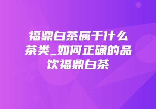 福鼎白茶属于什么茶类_如何正确的品饮福鼎白茶