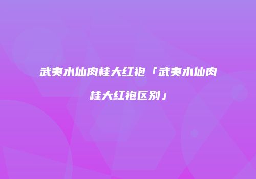 武夷水仙肉桂大红袍「武夷水仙肉桂大红袍区别」