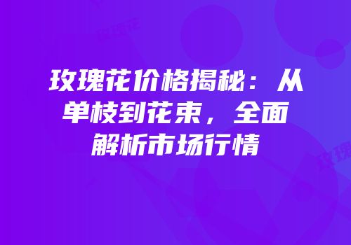玫瑰花价格揭秘：从单枝到花束，全面解析市场行情