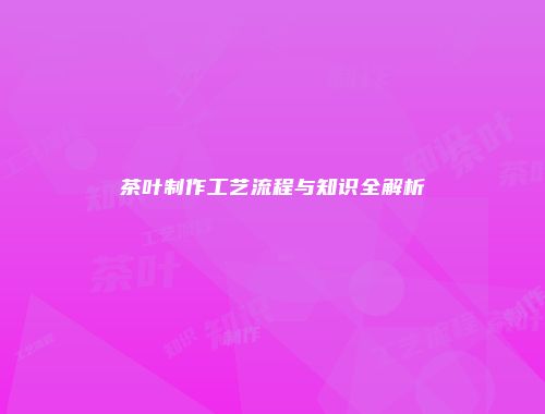 茶叶制作工艺流程与知识全解析