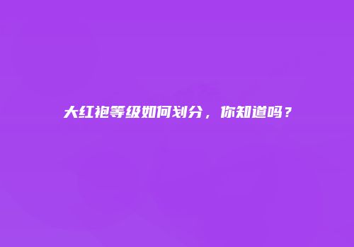 大红袍等级如何划分，你知道吗？