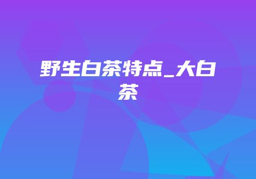 野生白茶特点_大白茶