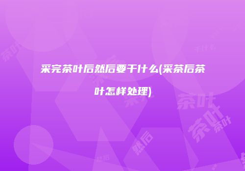 采完茶叶后然后要干什么(采茶后茶叶怎样处理)