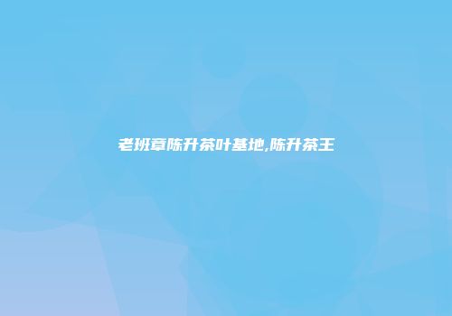 老班章陈升茶叶基地,陈升茶王
