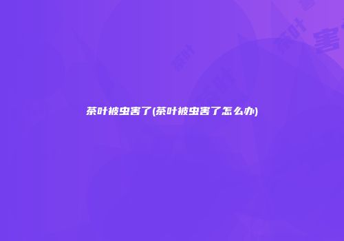 茶叶被虫害了(茶叶被虫害了怎么办)