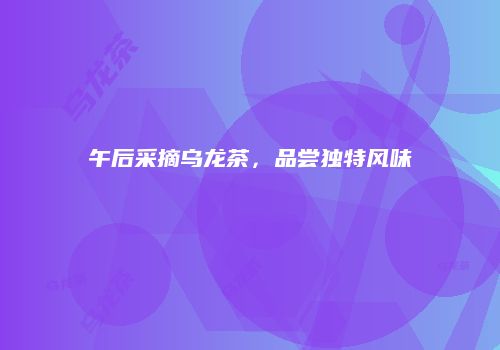 午后采摘乌龙茶，品尝独特风味
