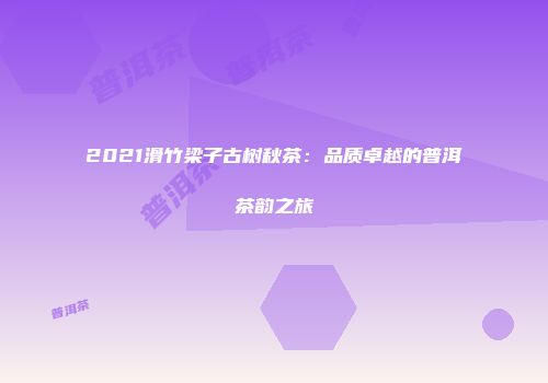 2021滑竹梁子古树秋茶：品质卓越的普洱茶韵之旅