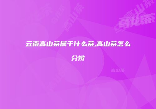 云南高山茶属于什么茶,高山茶怎么分辨