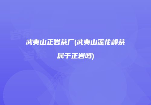 武夷山正岩茶厂(武夷山莲花峰茶属于正岩吗)