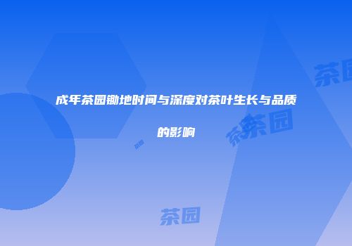 成年茶园锄地时间与深度对茶叶生长与品质的影响