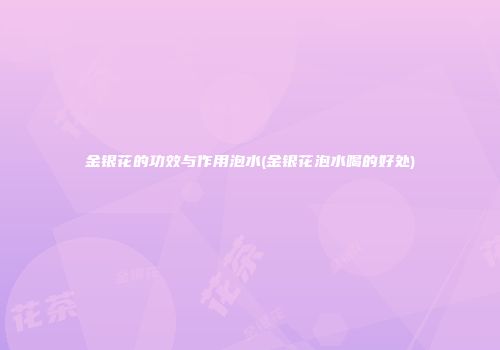 金银花的功效与作用泡水(金银花泡水喝的好处)
