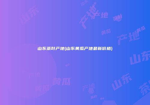 山东茶叶产地(山东黄瓜产地最新价格)