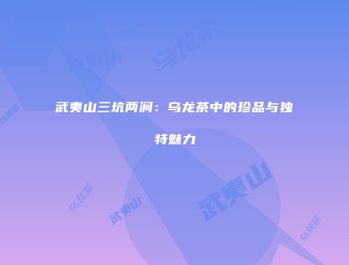 武夷山三坑两涧：乌龙茶中的珍品与独特魅力