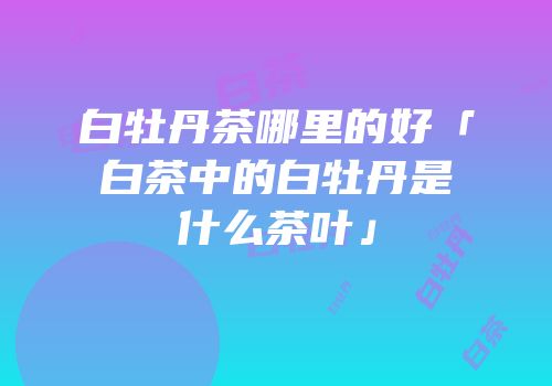 白牡丹茶哪里的好「白茶中的白牡丹是什么茶叶」