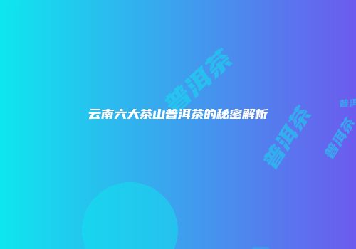 云南六大茶山普洱茶的秘密解析