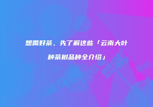 想喝好茶，先了解这些「云南大叶种茶树品种全介绍」