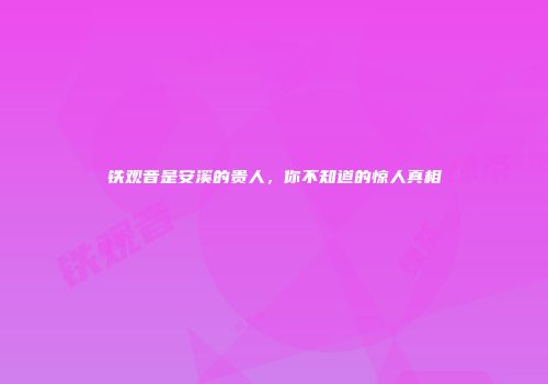 铁观音是安溪的贵人，你不知道的惊人真相