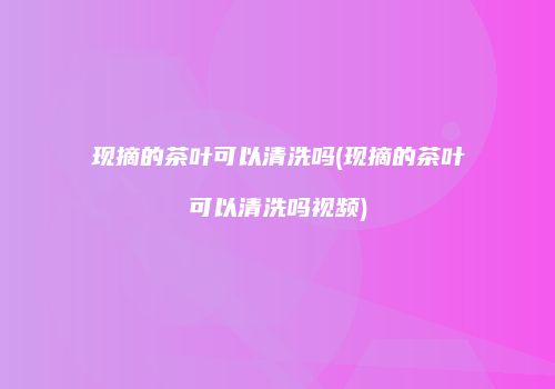 现摘的茶叶可以清洗吗(现摘的茶叶可以清洗吗视频)