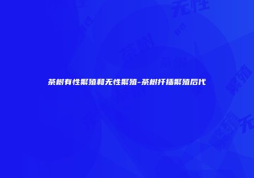 茶树有性繁殖和无性繁殖-茶树扦插繁殖后代