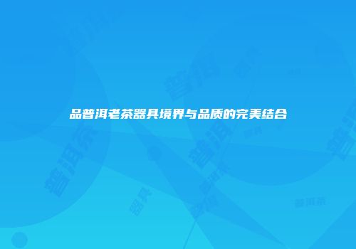品普洱老茶器具境界与品质的完美结合