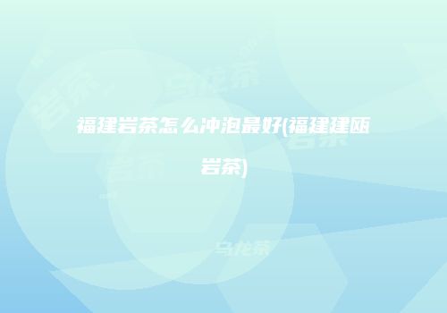 福建岩茶怎么冲泡最好(福建建瓯岩茶)