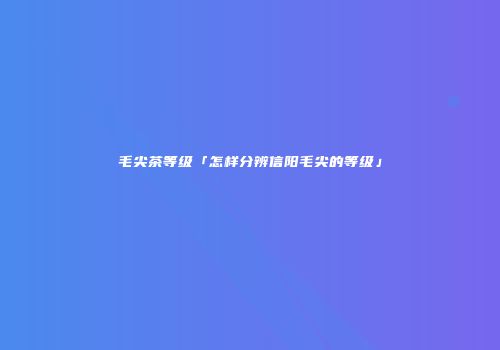 毛尖茶等级「怎样分辨信阳毛尖的等级」