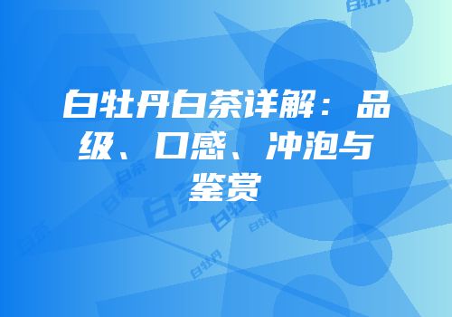 白牡丹白茶详解：品级、口感、冲泡与鉴赏