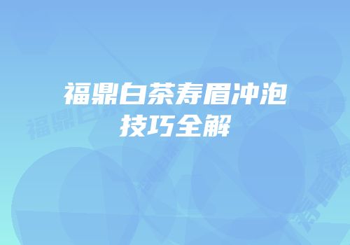福鼎白茶寿眉冲泡技巧全解