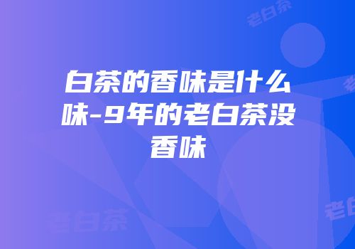白茶的香味是什么味-9年的老白茶没香味