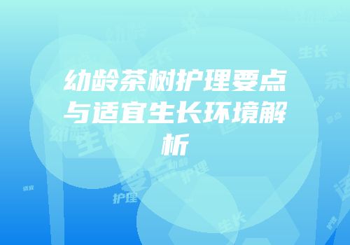 幼龄茶树护理要点与适宜生长环境解析