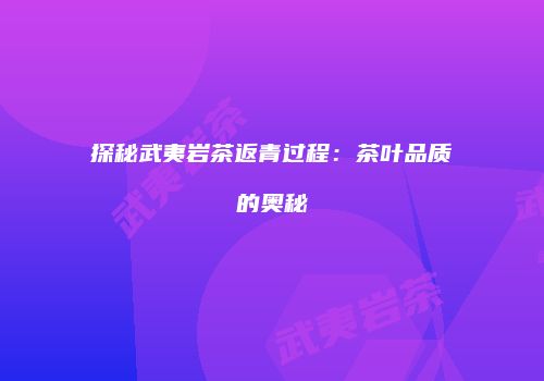 探秘武夷岩茶返青过程：茶叶品质的奥秘
