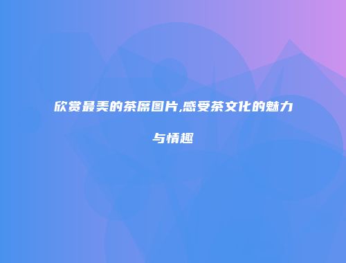 欣赏最美的茶席图片,感受茶文化的魅力与情趣