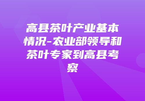 高县茶叶产业基本情况-农业部领导和茶叶专家到高县考察