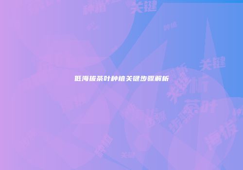 低海拔茶叶种植关键步骤解析