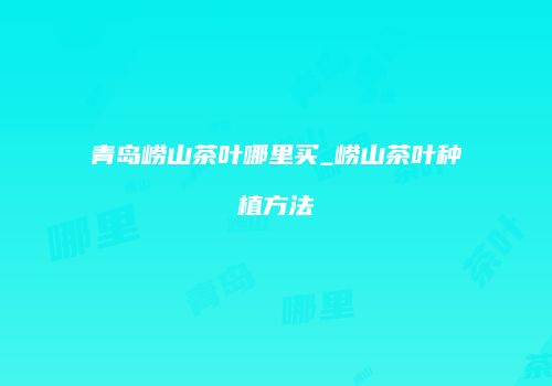 青岛崂山茶叶哪里买_崂山茶叶种植方法