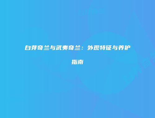 白芽奇兰与武夷奇兰：外观特征与养护指南