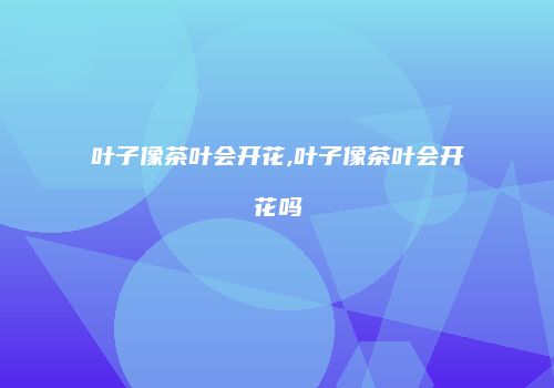 叶子像茶叶会开花,叶子像茶叶会开花吗