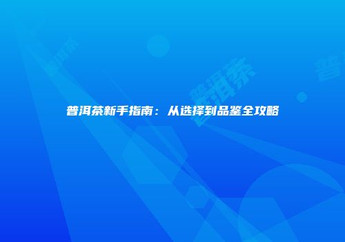 普洱茶新手指南：从选择到品鉴全攻略