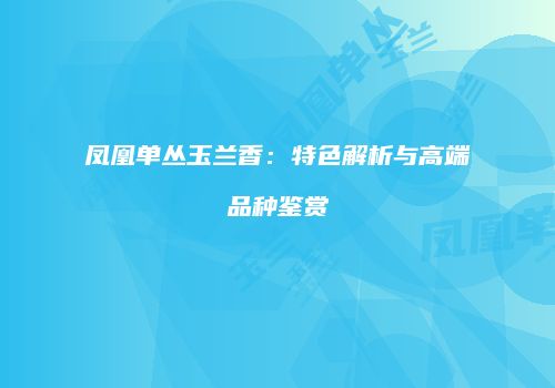 凤凰单丛玉兰香：特色解析与高端品种鉴赏