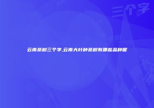 云南茶树三个字,云南大叶种茶树有哪些品种呢